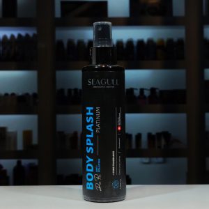 اسپری بدن مردانه Seagull سی گل مدل Platinum